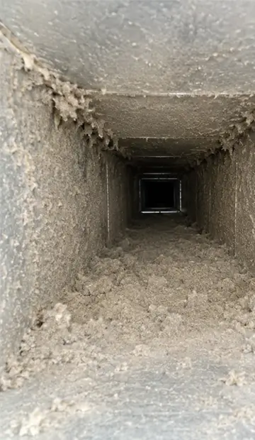 Air duct cleaning expert