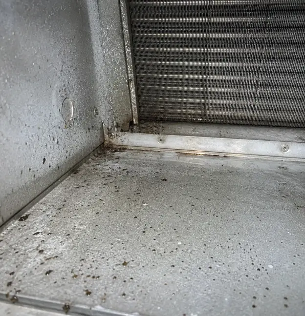 Untreated duct area